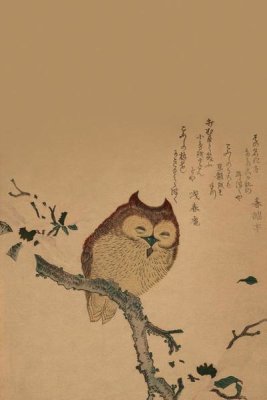 Unknown - Owl of Branch