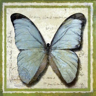 Karen J. Williams - Butterfly