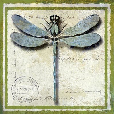 Karen J. Williams - Dragonfly