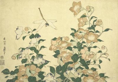 Hokusai - Bell Flower And Dragonfly