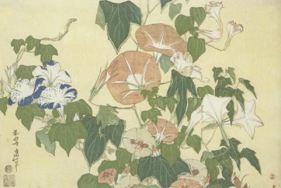 Hokusai - Convolvulus And Tree Frog