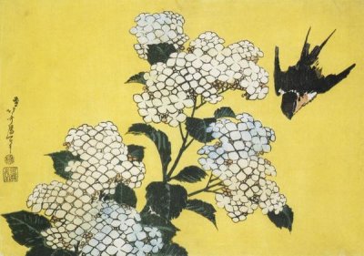 Hokusai - Hydrangea And Swallow