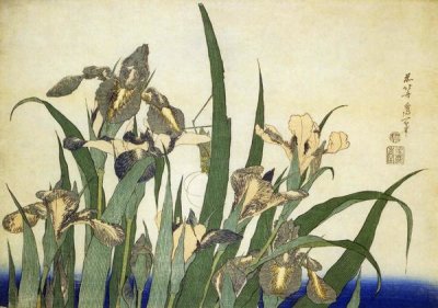 Hokusai - Irises