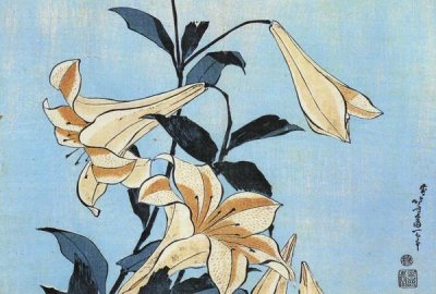 Hokusai - Lilies