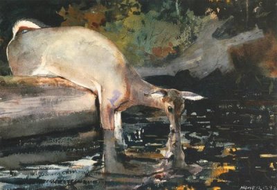 Winslow Homer - Deer Drinking