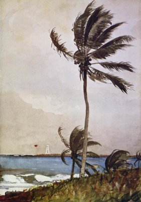 Winslow Homer - Palm Tree Nassau