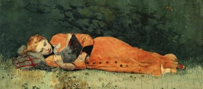 Winslow Homer - The New Novel