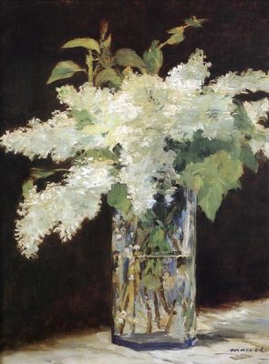 White Lilacs