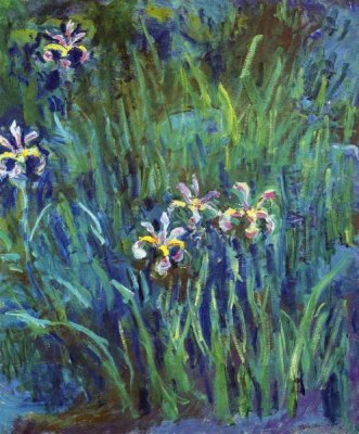 Claude Monet - Irises 1914-1917