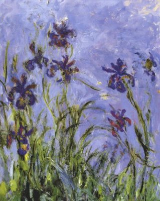 Claude Monet - Irises (detail)