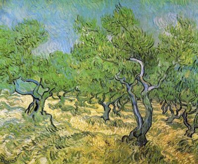 Vincent Van Gogh - Olive Grove