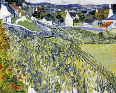 Vincent Van Gogh - Vineyards Auvers