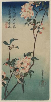 Ando Hiroshige - Small bird on a branch of Kaidozakura