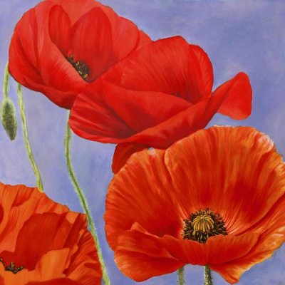 Luca Villa - Dance of Poppies I