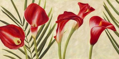 Jenny Thomlinson - Red Callas