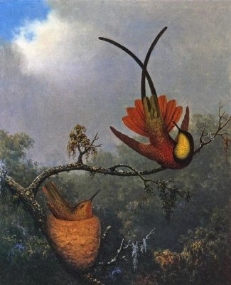 Martin Johnson Heade - Crimson Topaz