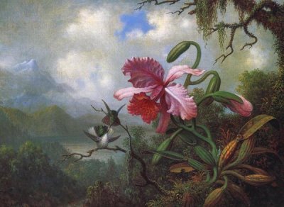 Martin Johnson Heade - Orchid And Hummingbirds Near A Mountain Lake