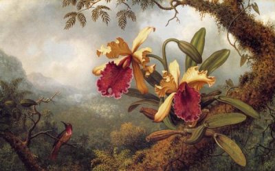 Martin Johnson Heade - Orchids And Hummingbird