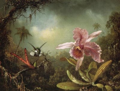 Martin Johnson Heade - Orchid With Two Hummingbirds