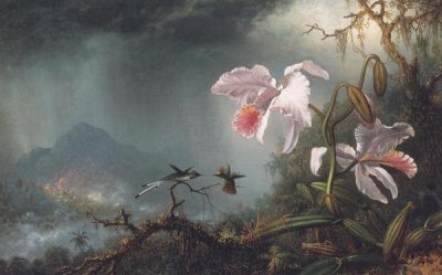 Martin Johnson Heade - Two Fighting Hummingbirds With Two Orchids