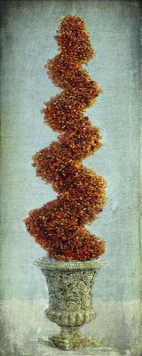 Karen J. Williams - Topiary II