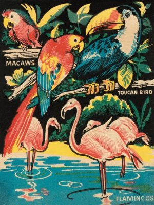 Retrotravel - Tropical Hobbyland - Birds