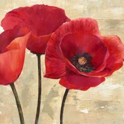 Cynthia Ann - Red Poppies II