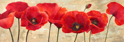 Cynthia Ann - Red Poppies