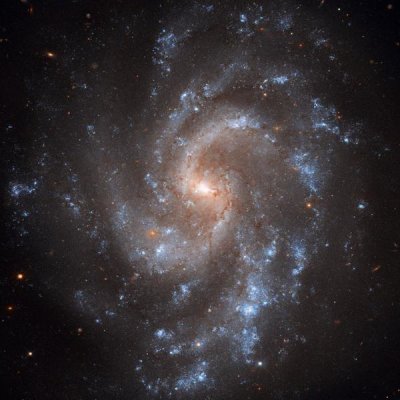 NASA - NGC 5584