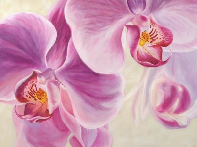 Cynthia Ann - Purple Orchids