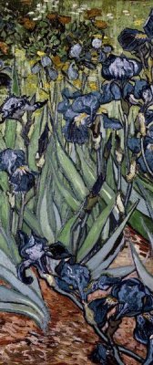 Vincent van Gogh - Irises (center)