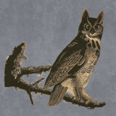 BG.Studio - Audubon Decor - Horned Owl Detail