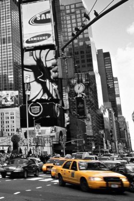 Doug Pearson - Times Square, New York City, USA (right)
