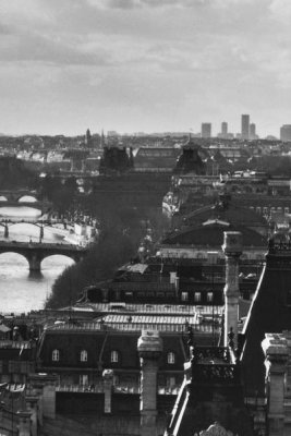Peter Turnley - River Seine and the City of Paris (right)