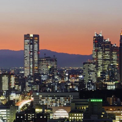 Unknown - City Skyline, Shinjuku District, Tokyo, Japan (left)