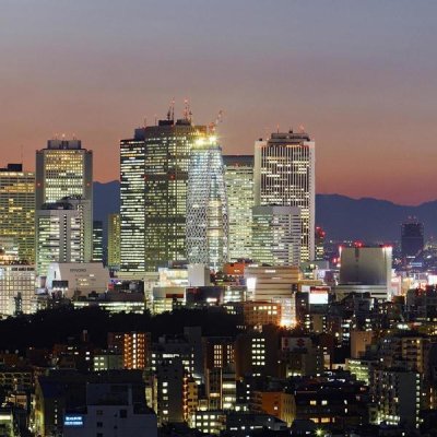 Unknown - City Skyline, Shinjuku District, Tokyo, Japan (right)