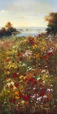 Arcobaleno - Wildflower Meadow I