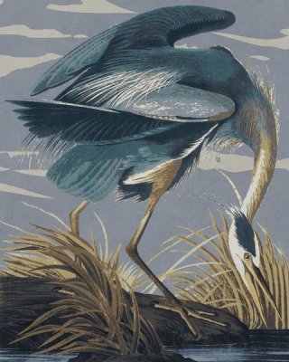 BG.Studio - Audubon Decor - Great Blue Heron