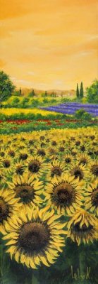Tebo Marzari - Girasoli e Lavanda