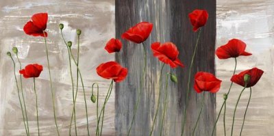 Jenny Thomlinson - Country Poppies