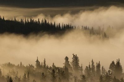 Matthias Breiter - Morning fog near Swan Lake along the Alaska Highway, Yukon, Canada