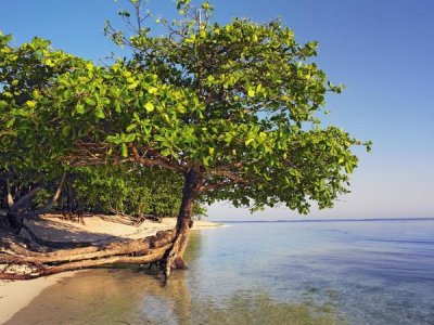 Tim Fitzharris - Roatan Island, Honduras