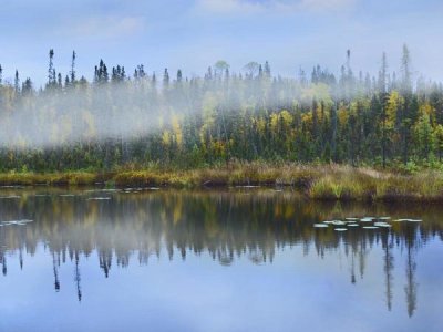 Tim Fitzharris - Fog over lake, Ontario, Canada