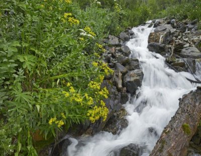 Tim Fitzharris - Creek near Silverton, Colorado