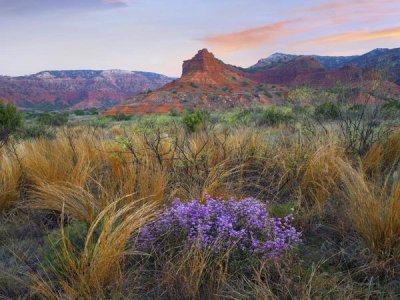 Tim Fitzharris - Caprock Canyons State Park, Texas