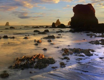 Tim Fitzharris - Seastacks, Lone Ranch Beach, Oregon