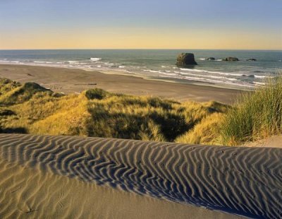 Tim Fitzharris - Coastline, Pistol River Beach, Oregon