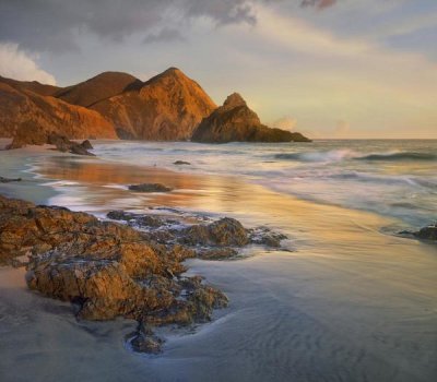 Tim Fitzharris - Bean Hollow Beach, Big Sur, California