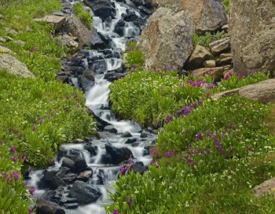 Tim Fitzharris - Porphyry Creek near Silverton, Colorado