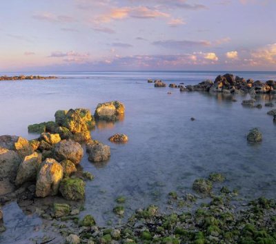 Tim Fitzharris - Coastal rocks, Bahia Honda Key, Florida